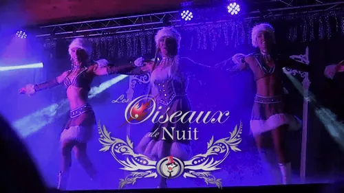 Les Oiseaux de Nuit : une troupe qui se prépare à l'été